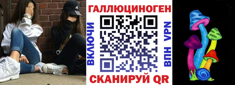 Купить  Болхов  Псилоцибиновые грибы Psilocybine cubensis 